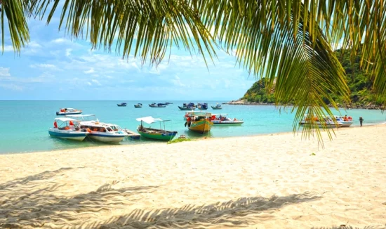 Cham Island - Bay Mau Coconut Forest 2 Days 1 Night