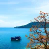 Cham Island Tour