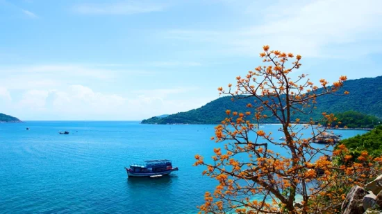 Cham Island Tour