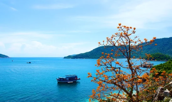 Cham Island Tour